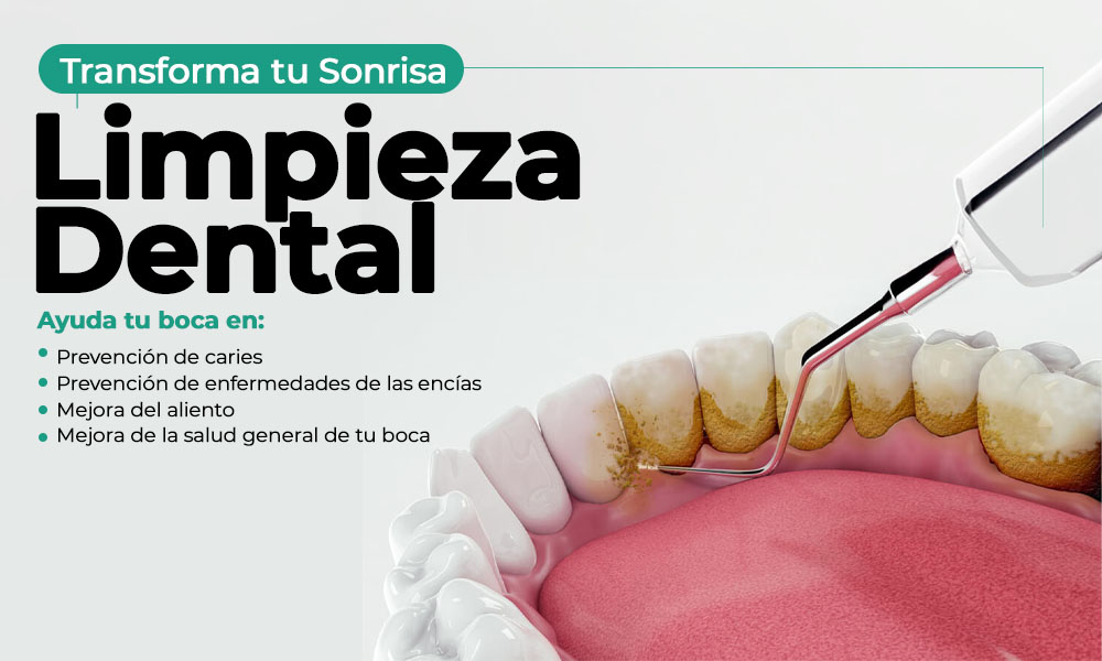 limpiezacelu